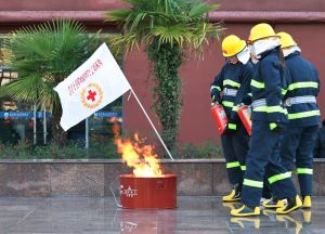 1763604222653614.jpg 1763604222653614.jpg